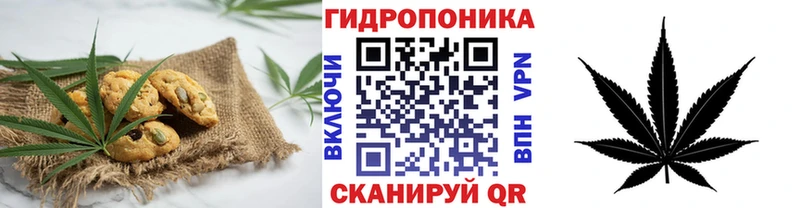 купить наркотики сайты  OMG ссылка  Cannafood марихуана  Саров 