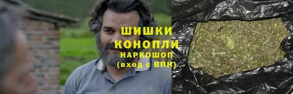 ПСИЛОЦИБИНОВЫЕ ГРИБЫ Арсеньев
