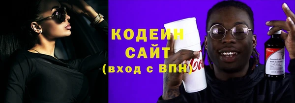 ПСИЛОЦИБИНОВЫЕ ГРИБЫ Арсеньев